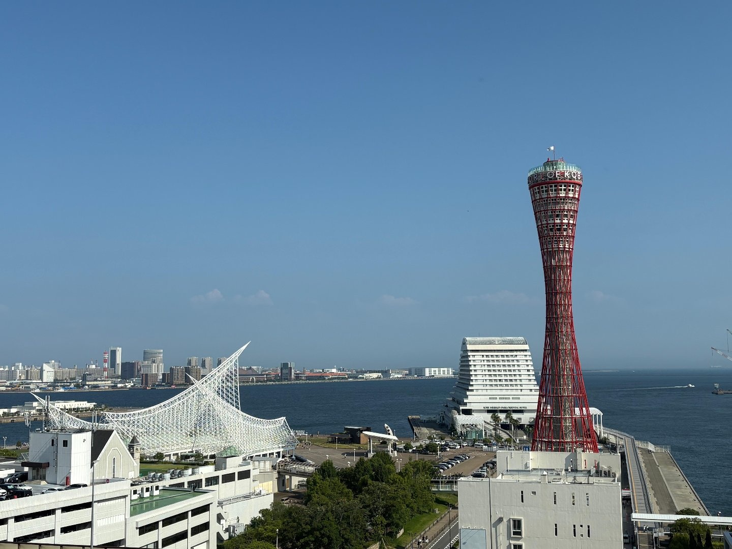 DB723D99-E2AC-4B2C-A75A-0EABC318F183.jpeg