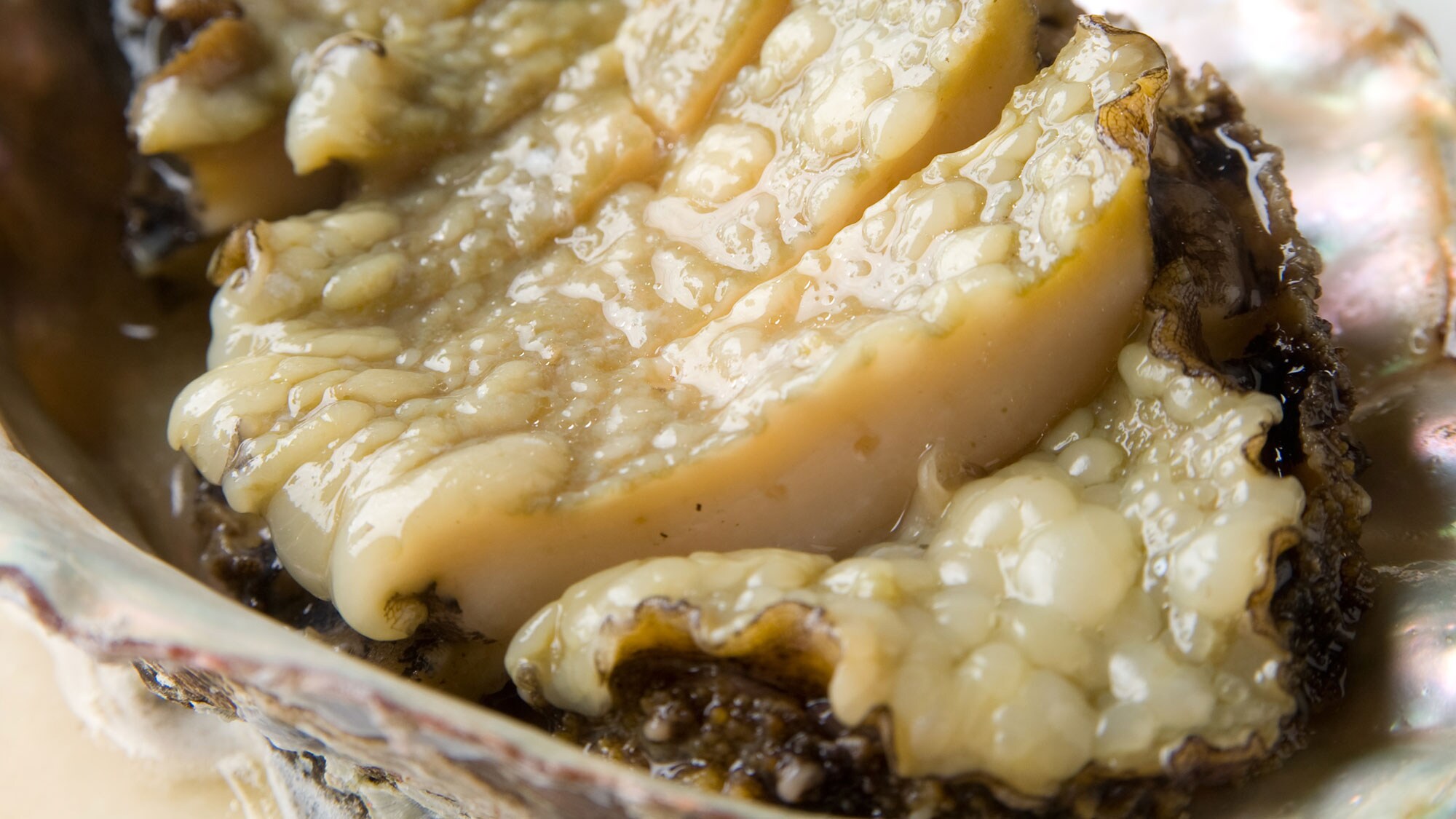 Abalone stone grilled