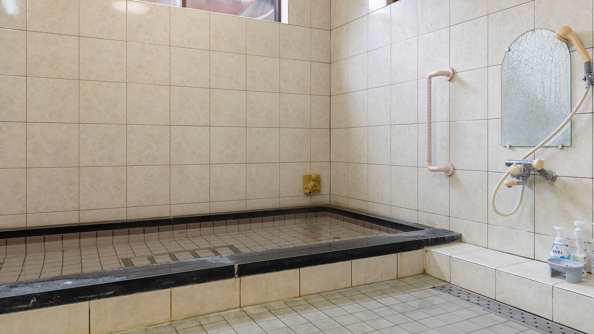 Pemandian dalam ruangannya 100% Hamasaka Onsen.