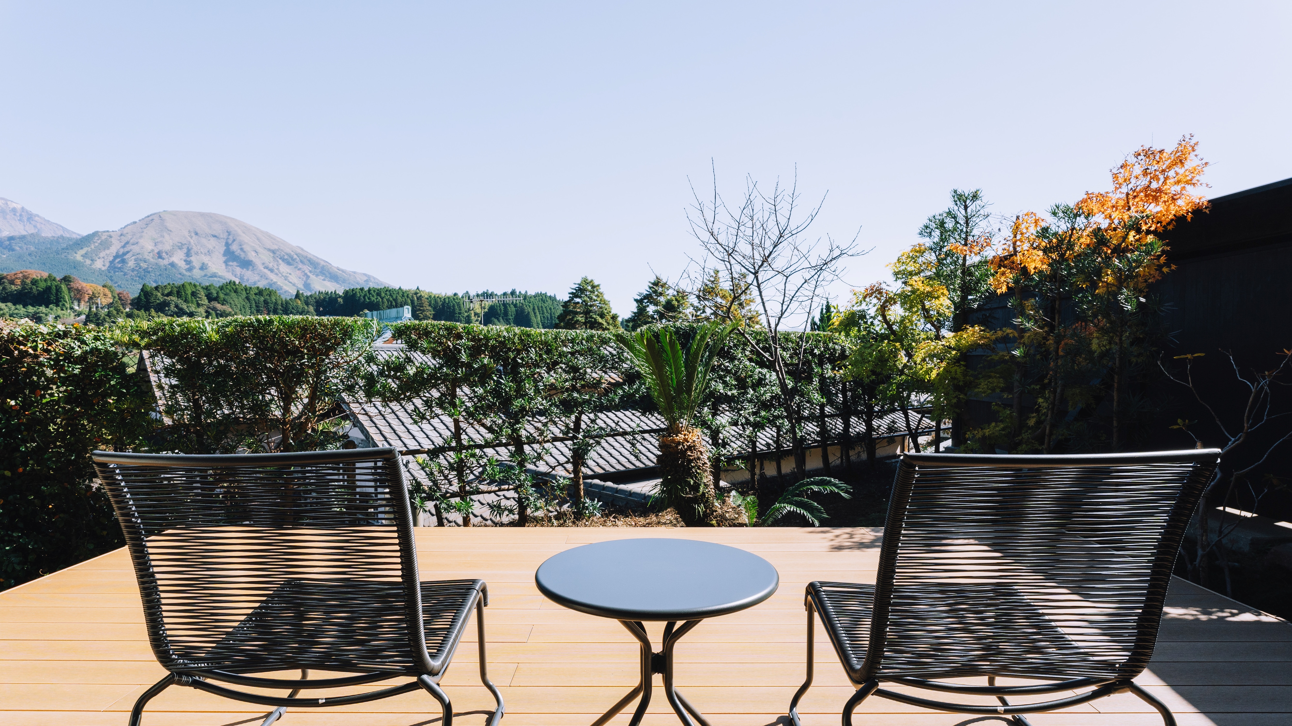 Japanese-Western style room (mountain view)