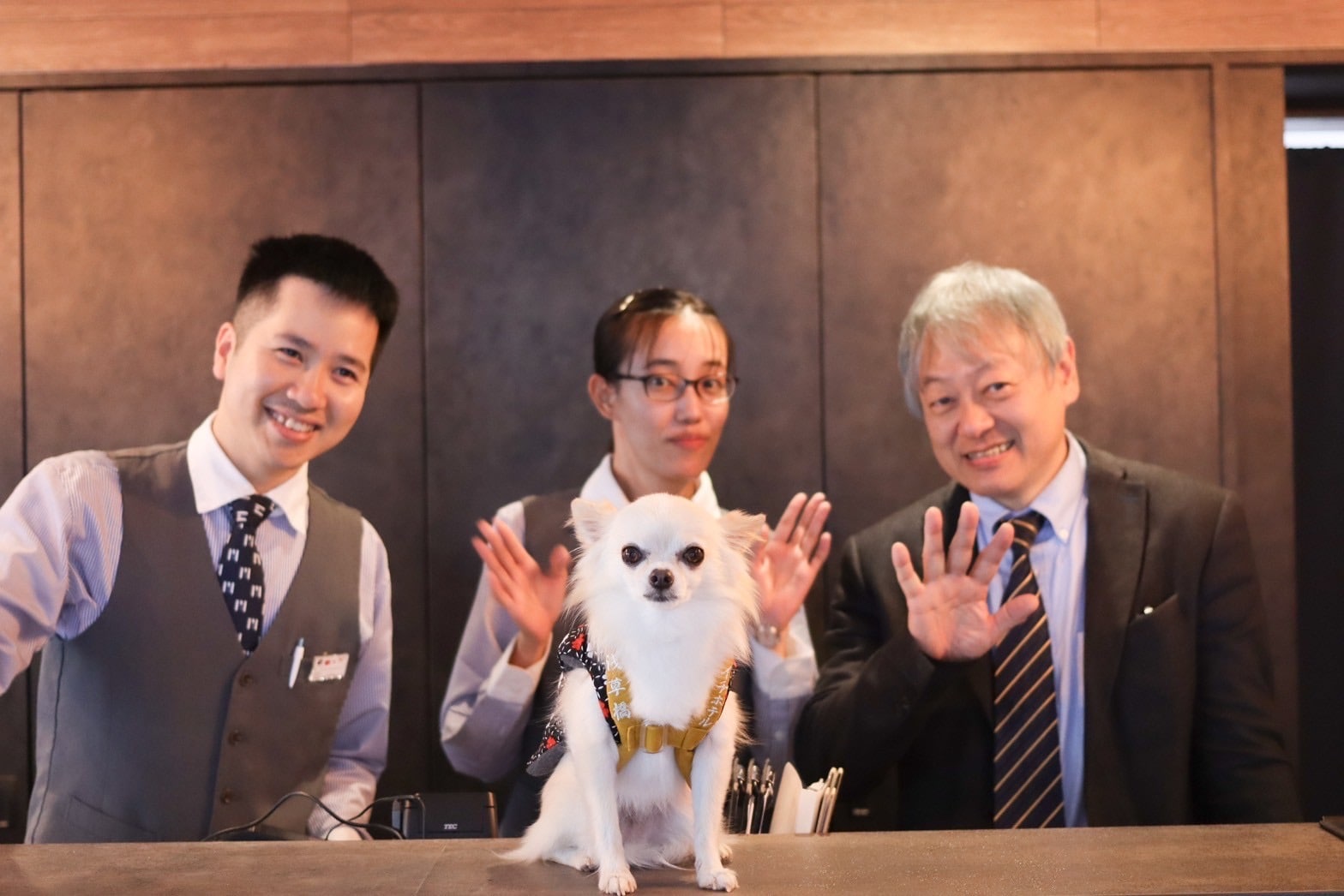 欢迎携带宠物狗入住