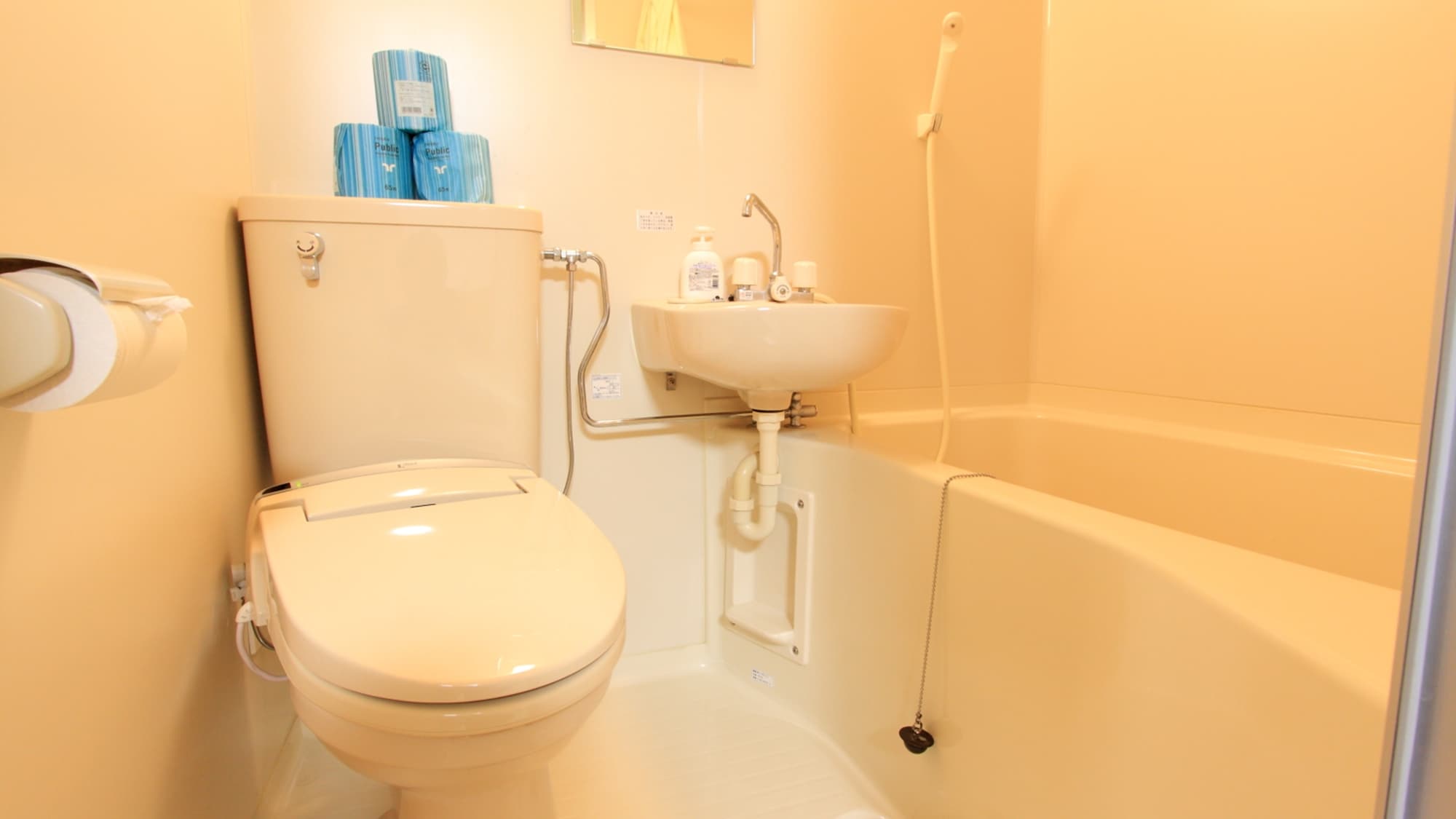 *[Example of a room with a bathroom and toilet] Clean restroom space