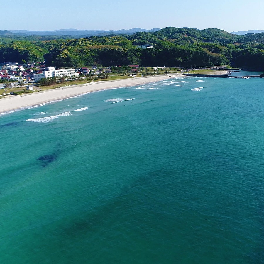 The beauty in front of you is unique to the Sea of Japan!