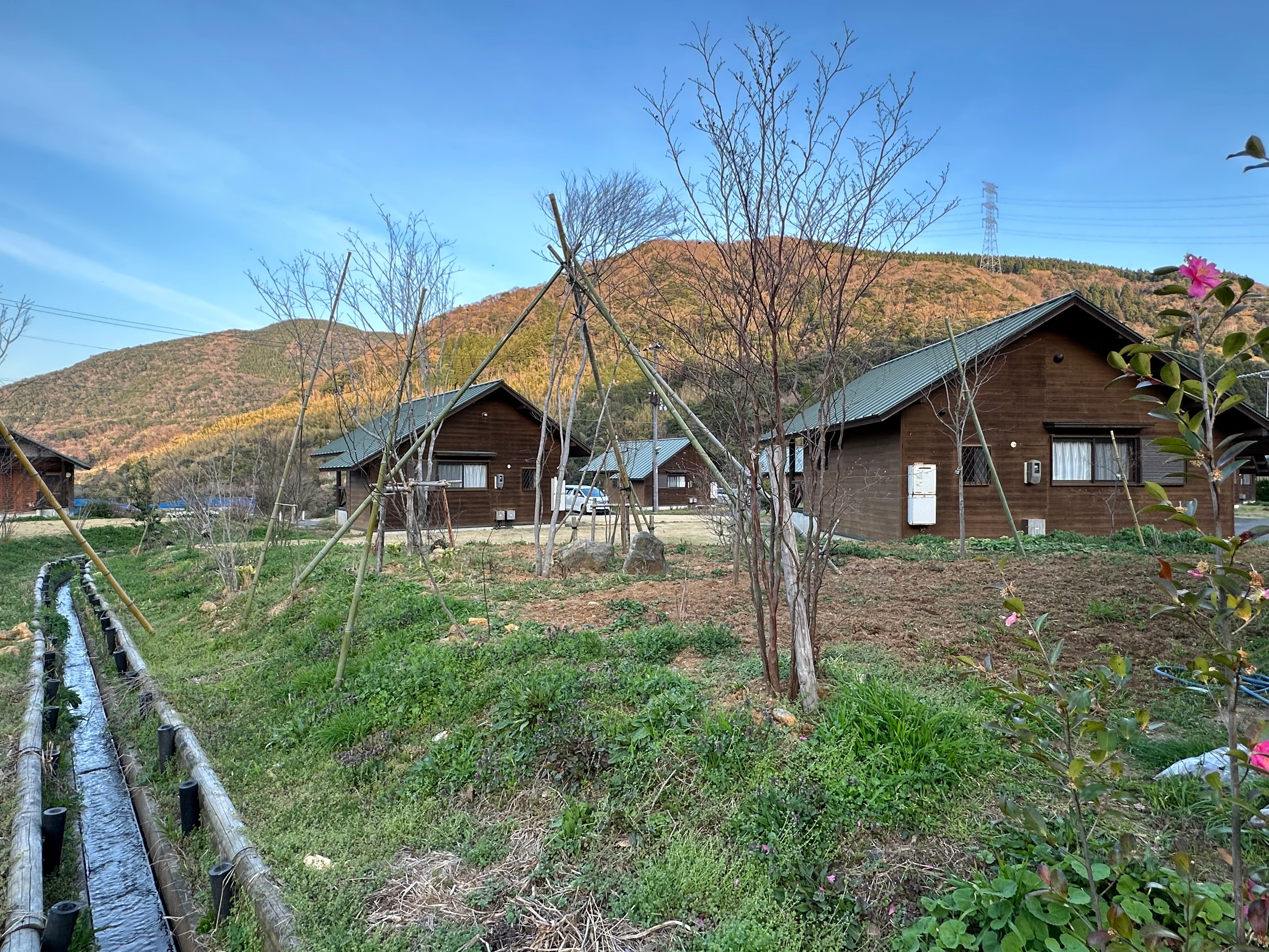 Forest Cottage Surroundings