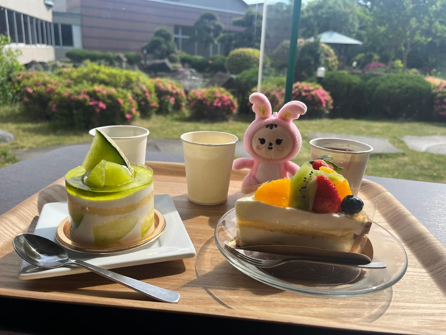 1BF70729-AEB9-4053-9F3D-82748D972A04.jpeg