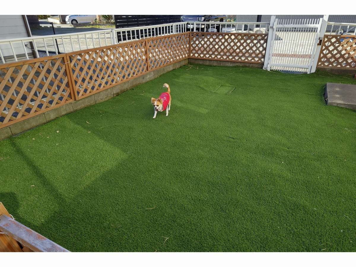 Dog run