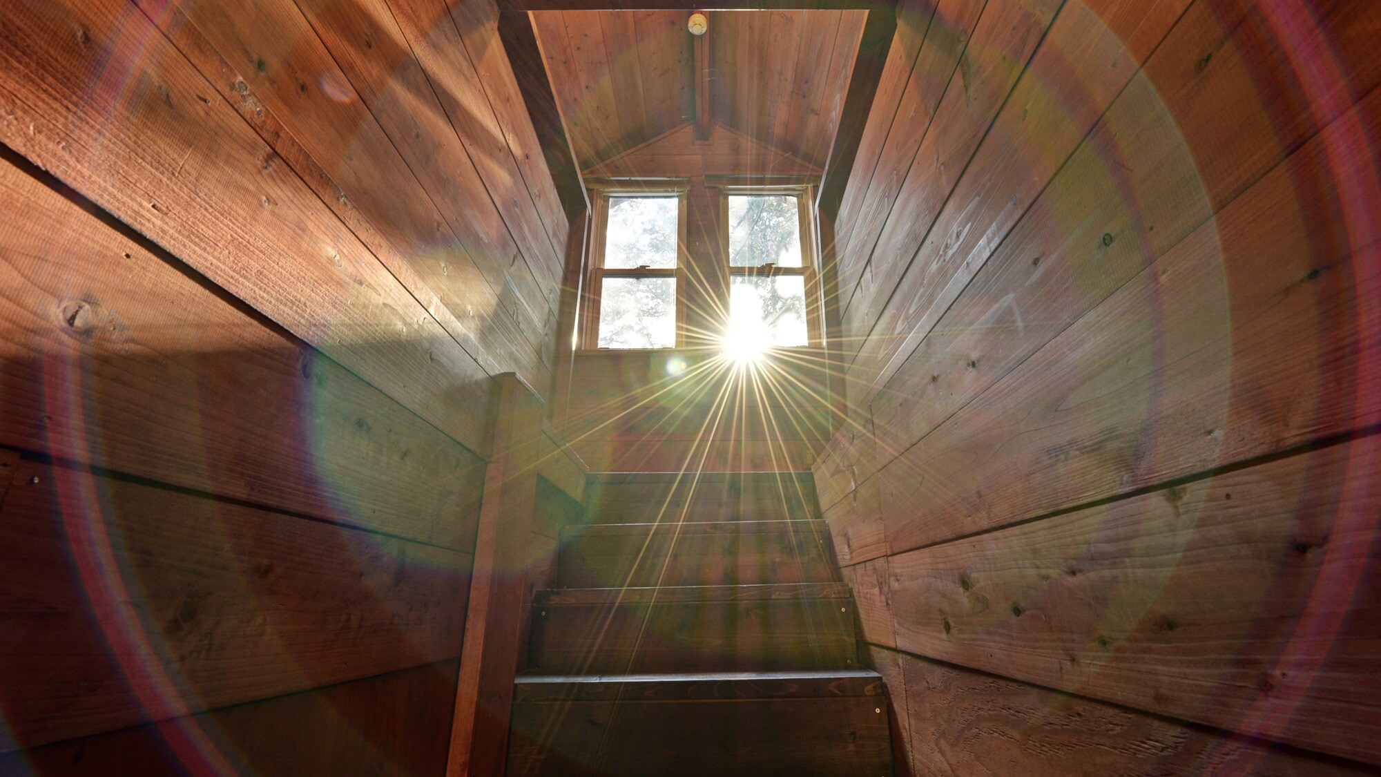 *[Cottage/Raindeer] Sunlight pours in through the atrium.