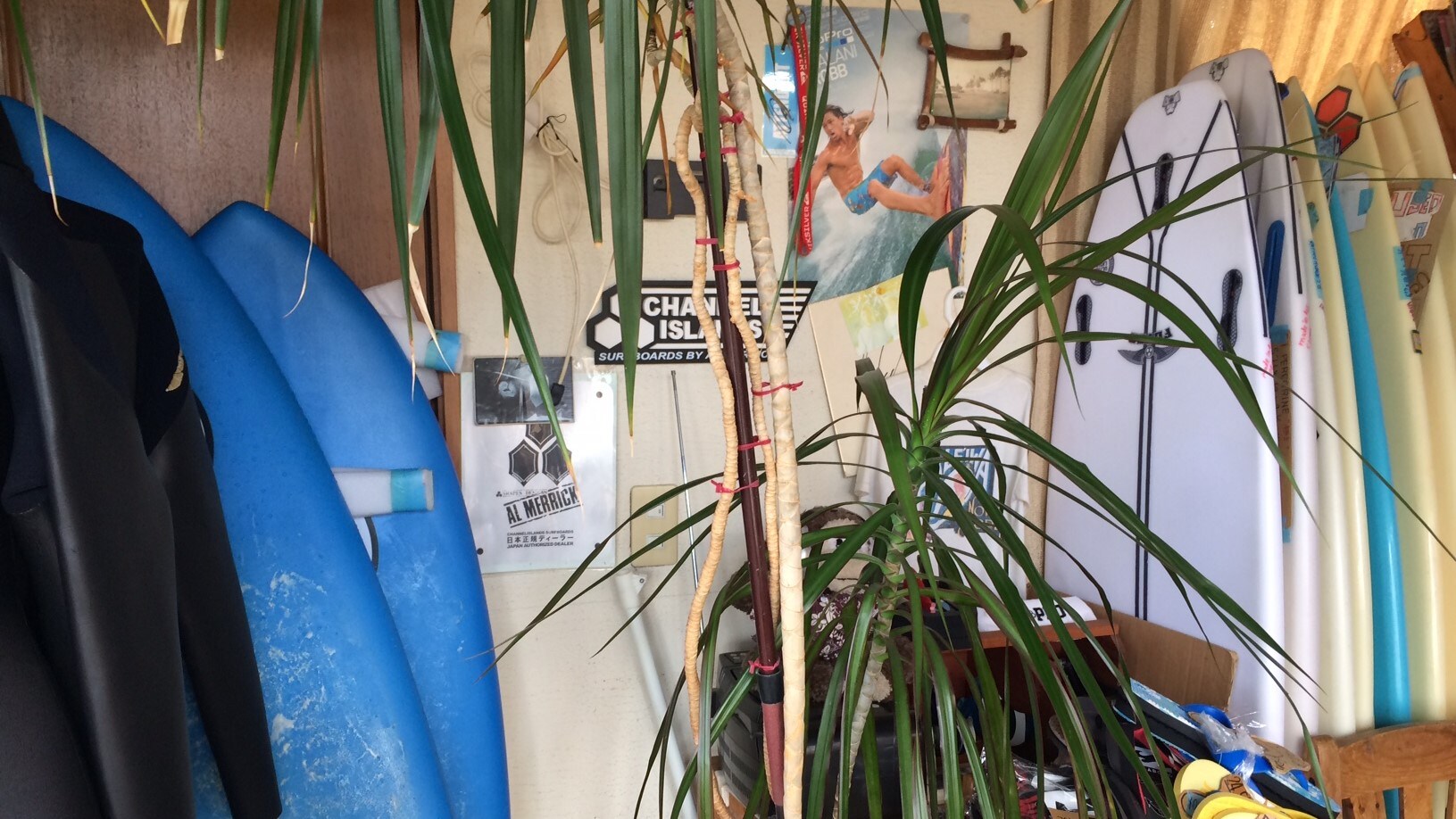 衝浪裝備租賃
