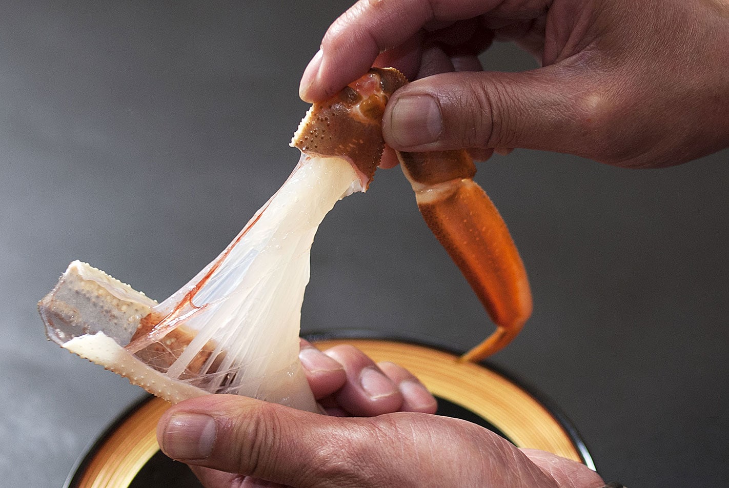 Hamasaka crab (Snow crab, Matsuba crab)