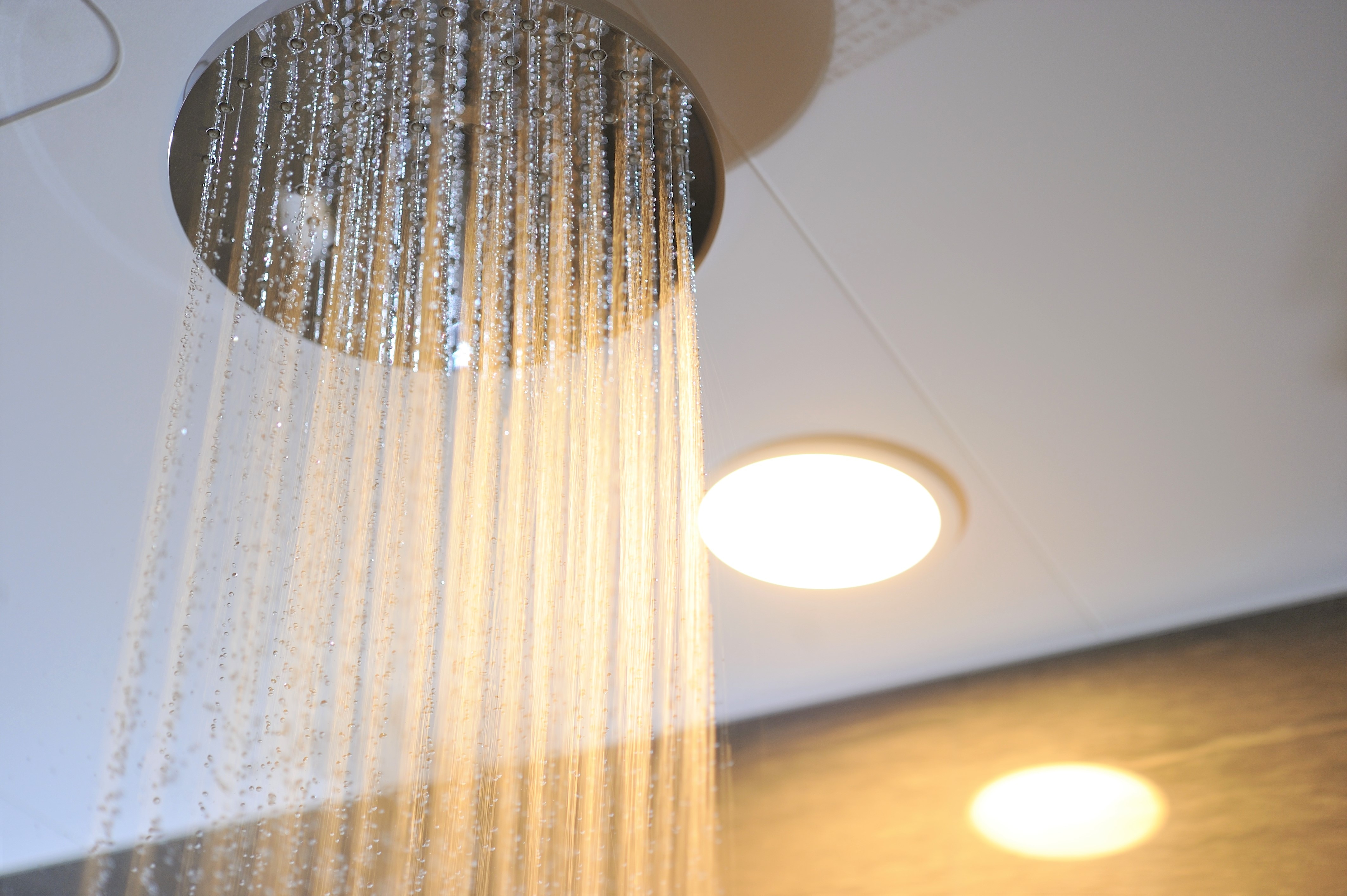 Rain shower [Deluxe suite only]