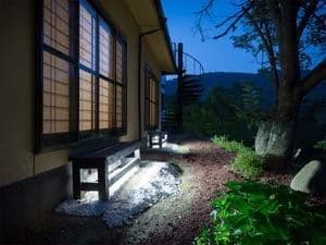 Autumn leaves courtyard at night