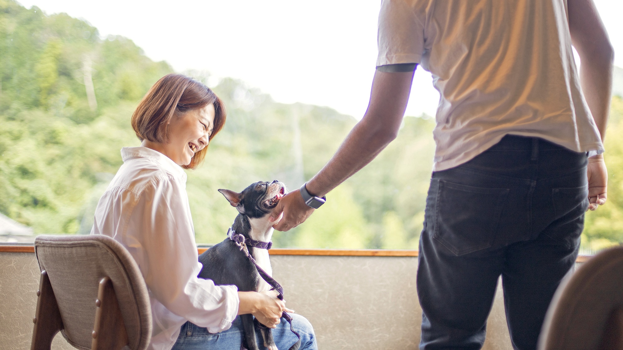 [Menginap bersama anjing kesayangan Anda] Di Hachinobo, Anda dapat bersantai di kamar bersama anjing Anda.