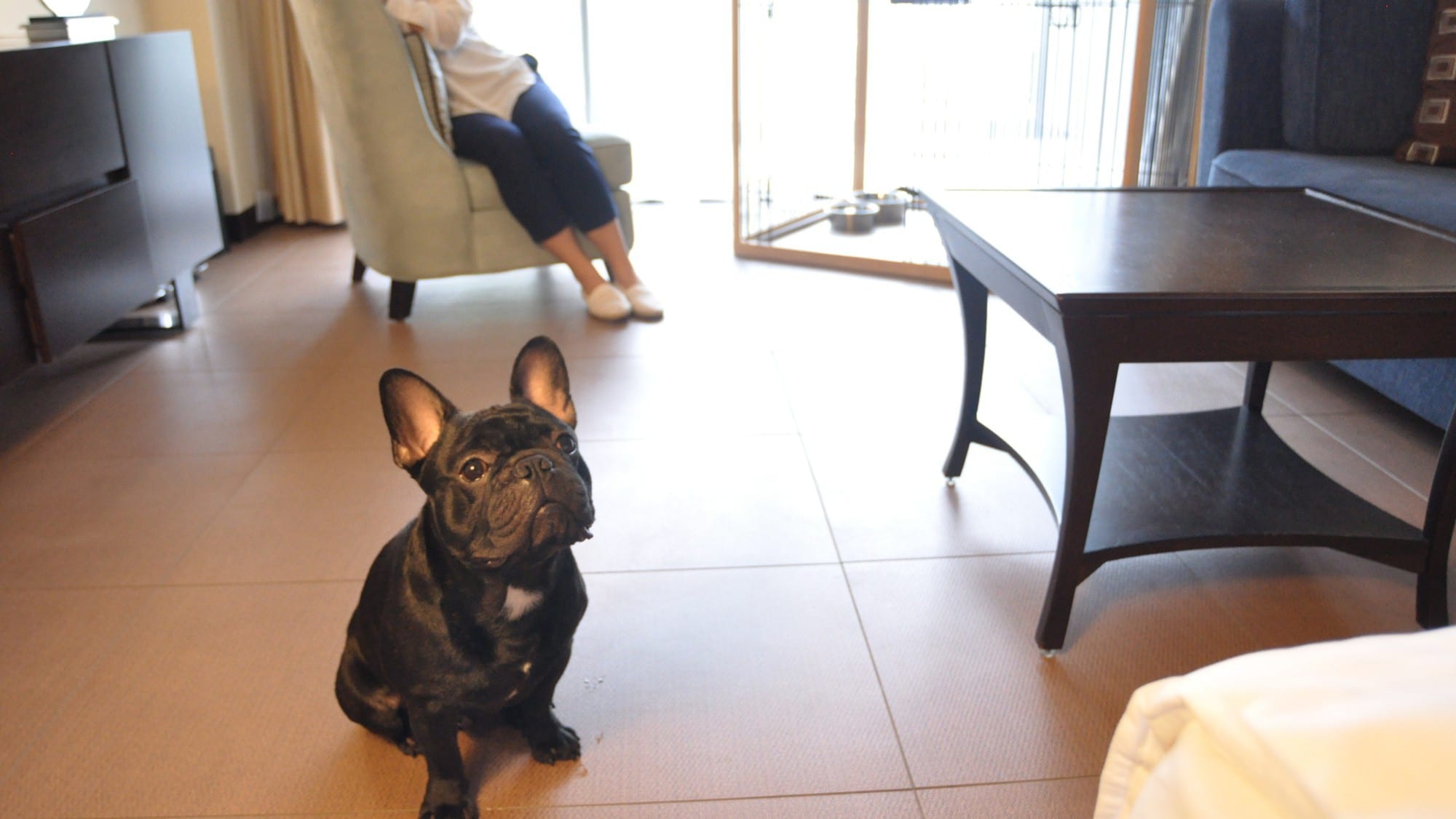 Pet room (43㎡)