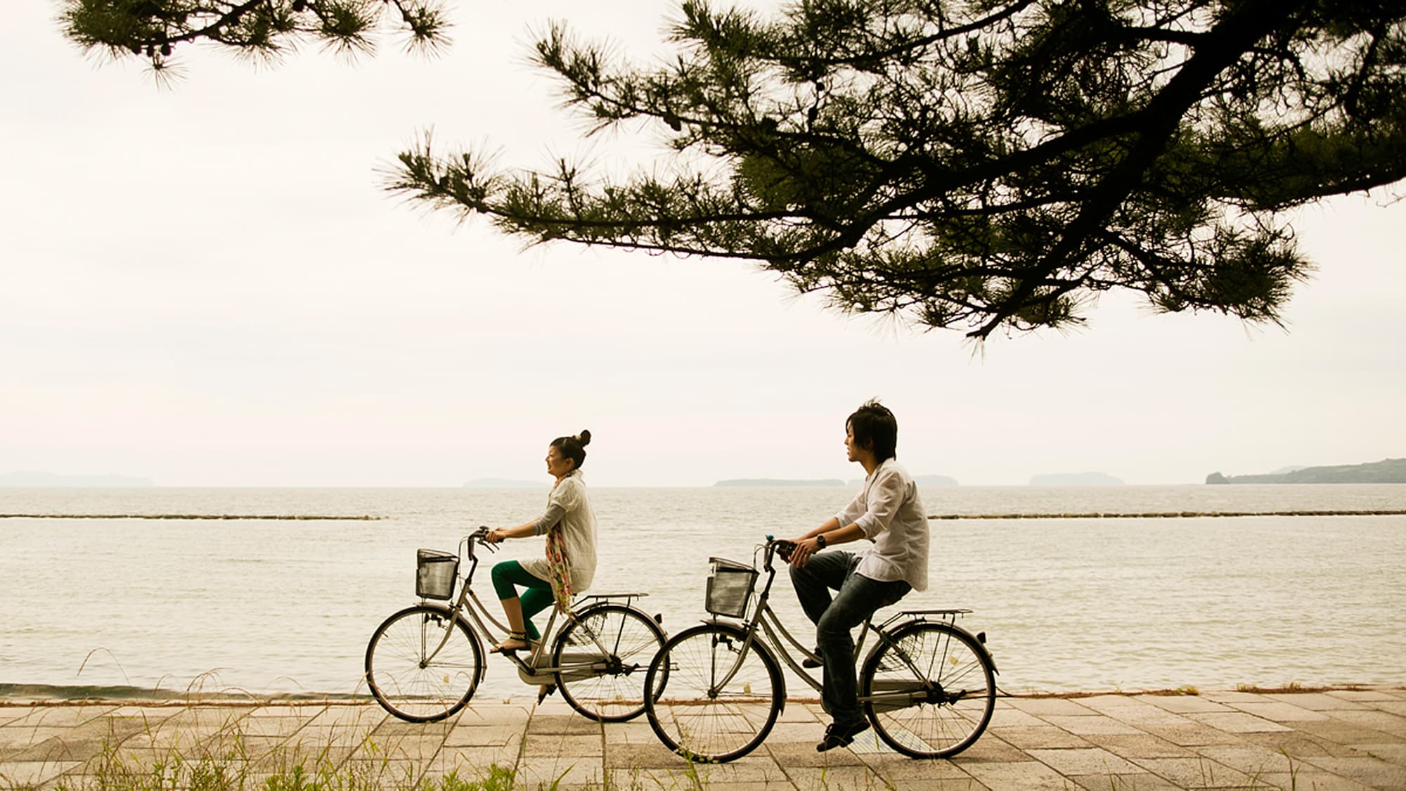 ● Bicycle rental