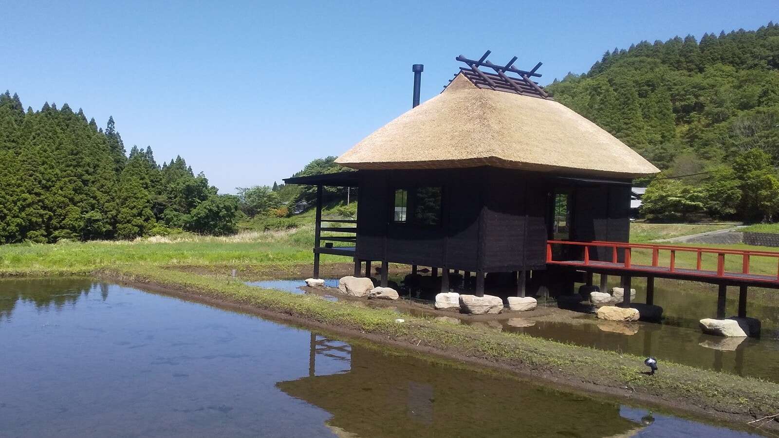 현지 자랑 카페