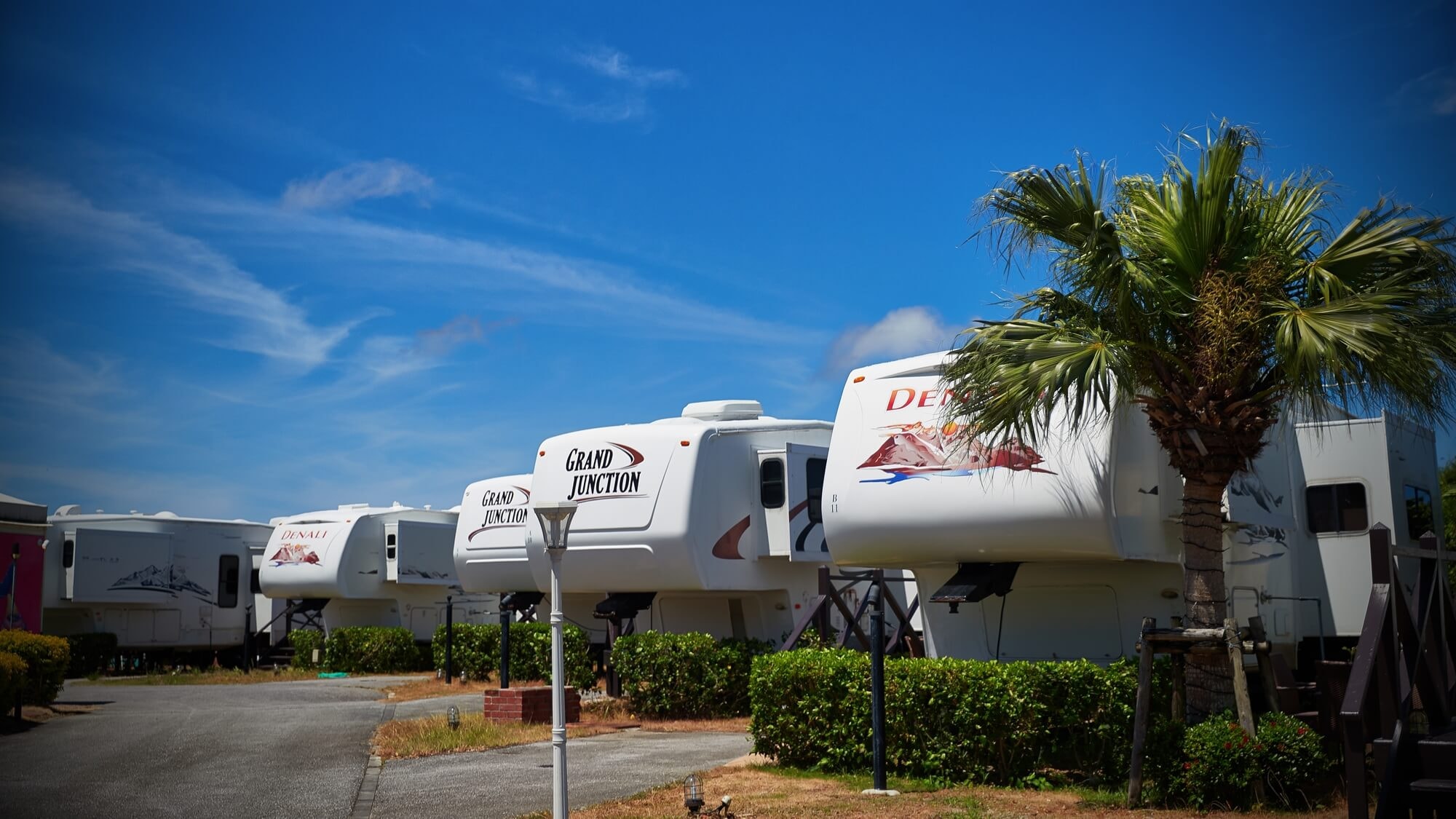 只有啄木鸟时人才能住在拖车房！