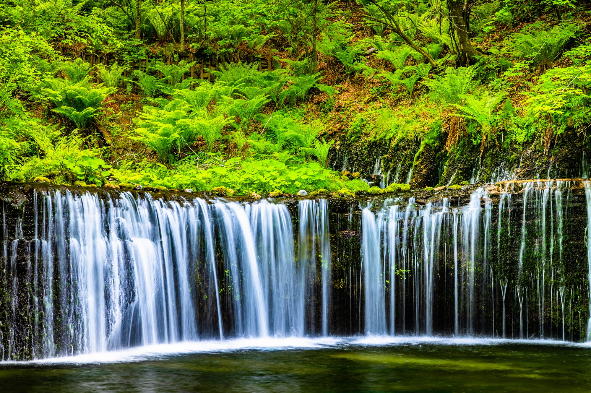 Shiraito Falls