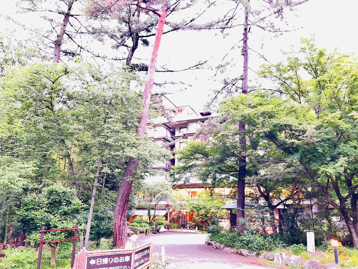 9D6401E9-A2D1-48AE-83C5-2B85AE3EDE84.jpeg