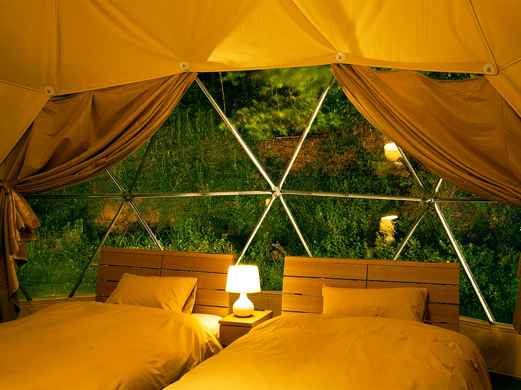 Forest view dome