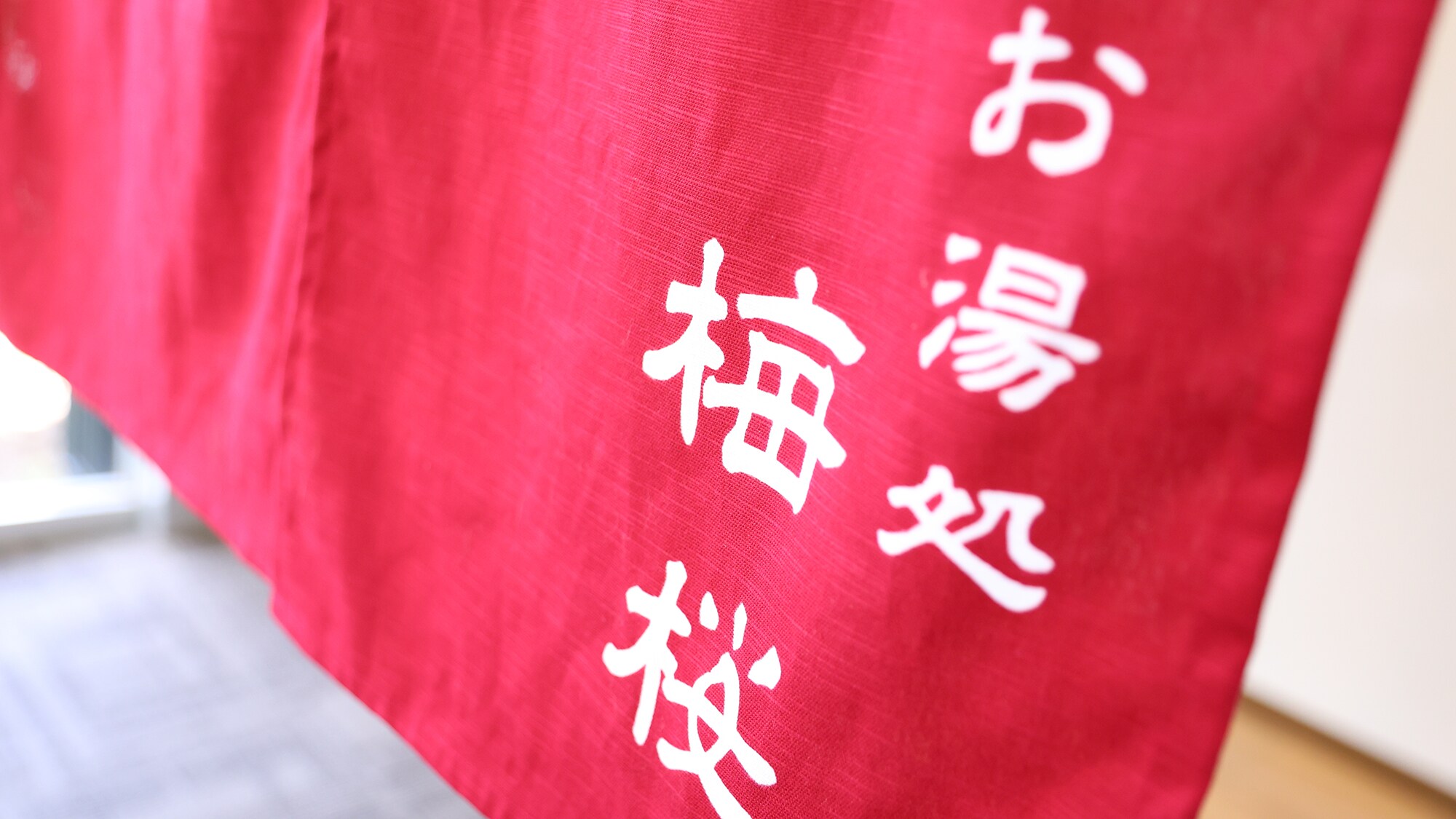 Hot spring resort "Umezakura"