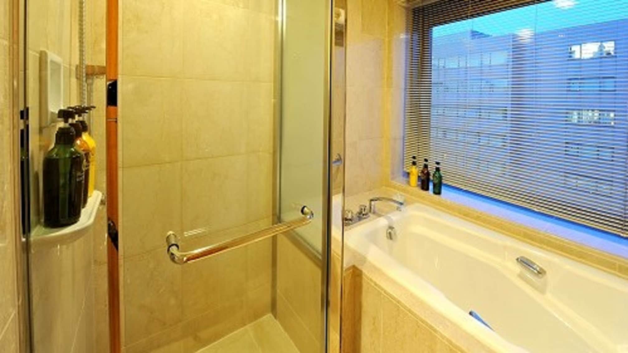 Deluxe Twin (Bathroom)