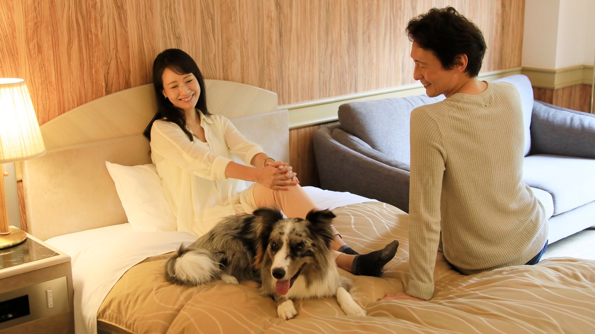 Anda dapat menginap bersama anjing Anda di semua kamar.