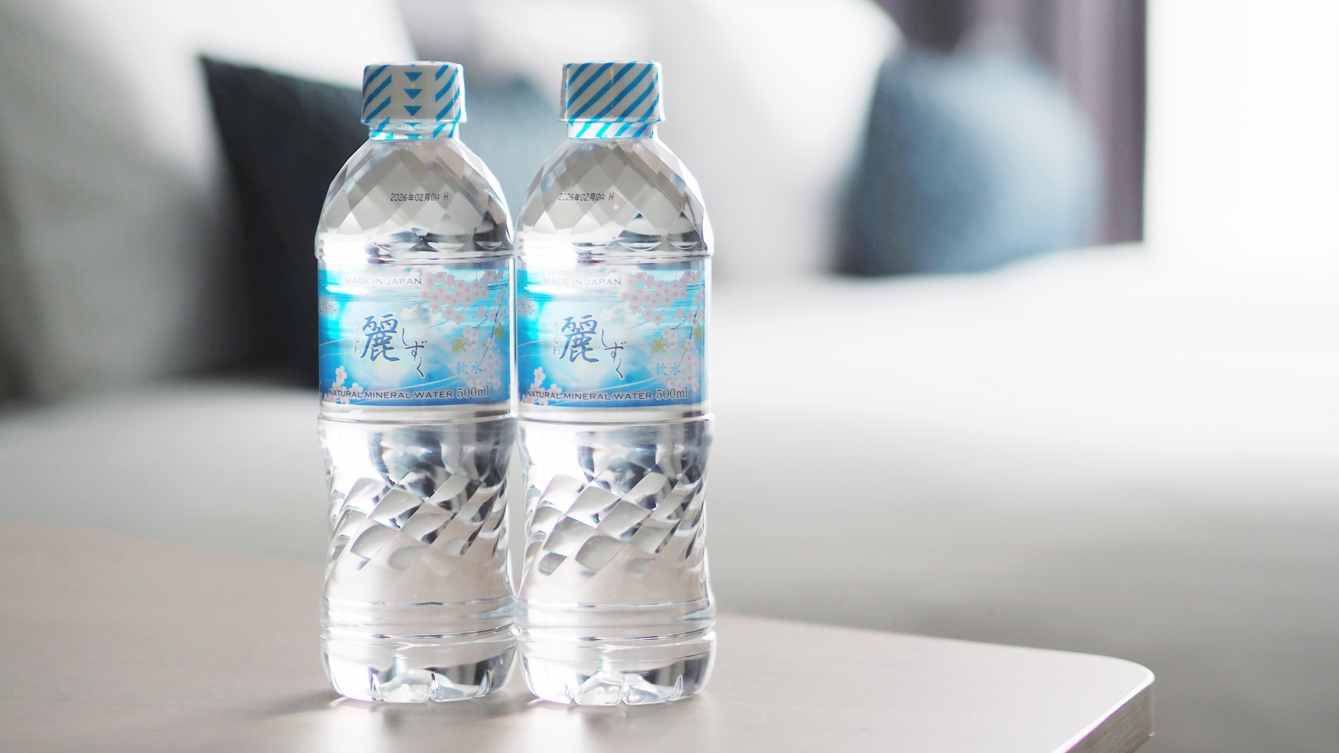 [Guest room amenities]