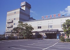 Appearance image