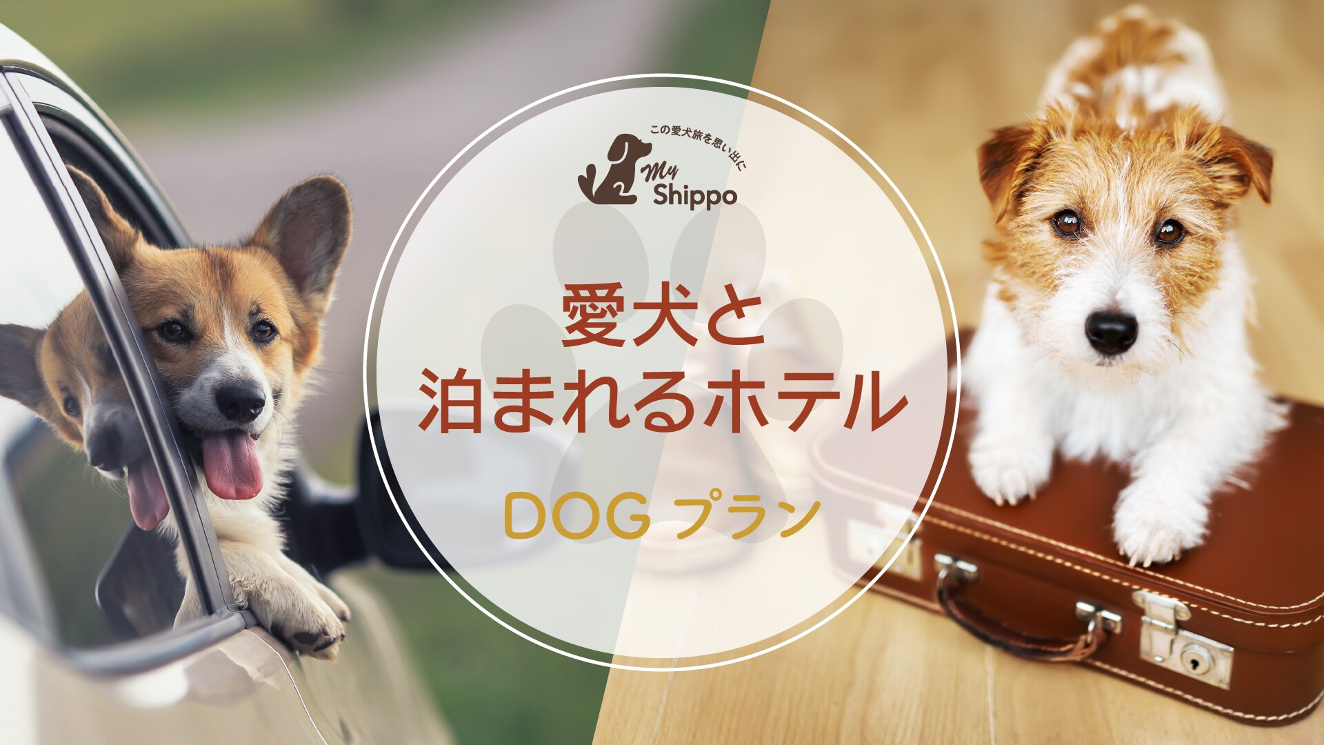 Dog Friendly