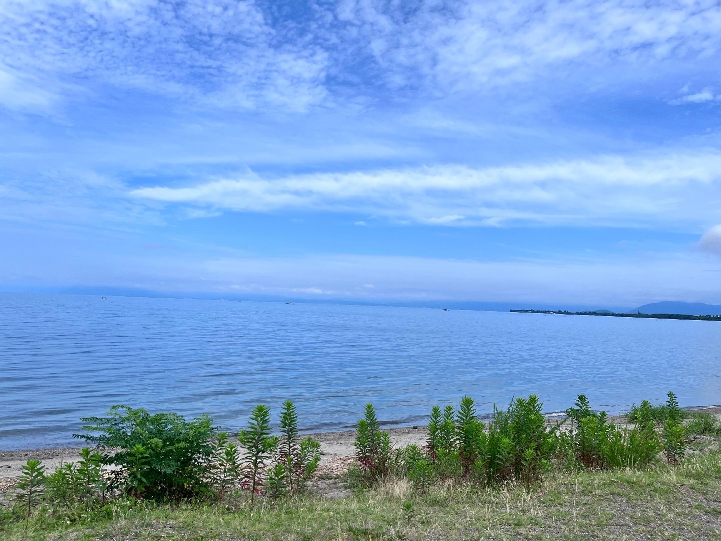 DF919E7A-7561-4FD7-AA37-40FD3767F0DF.jpeg