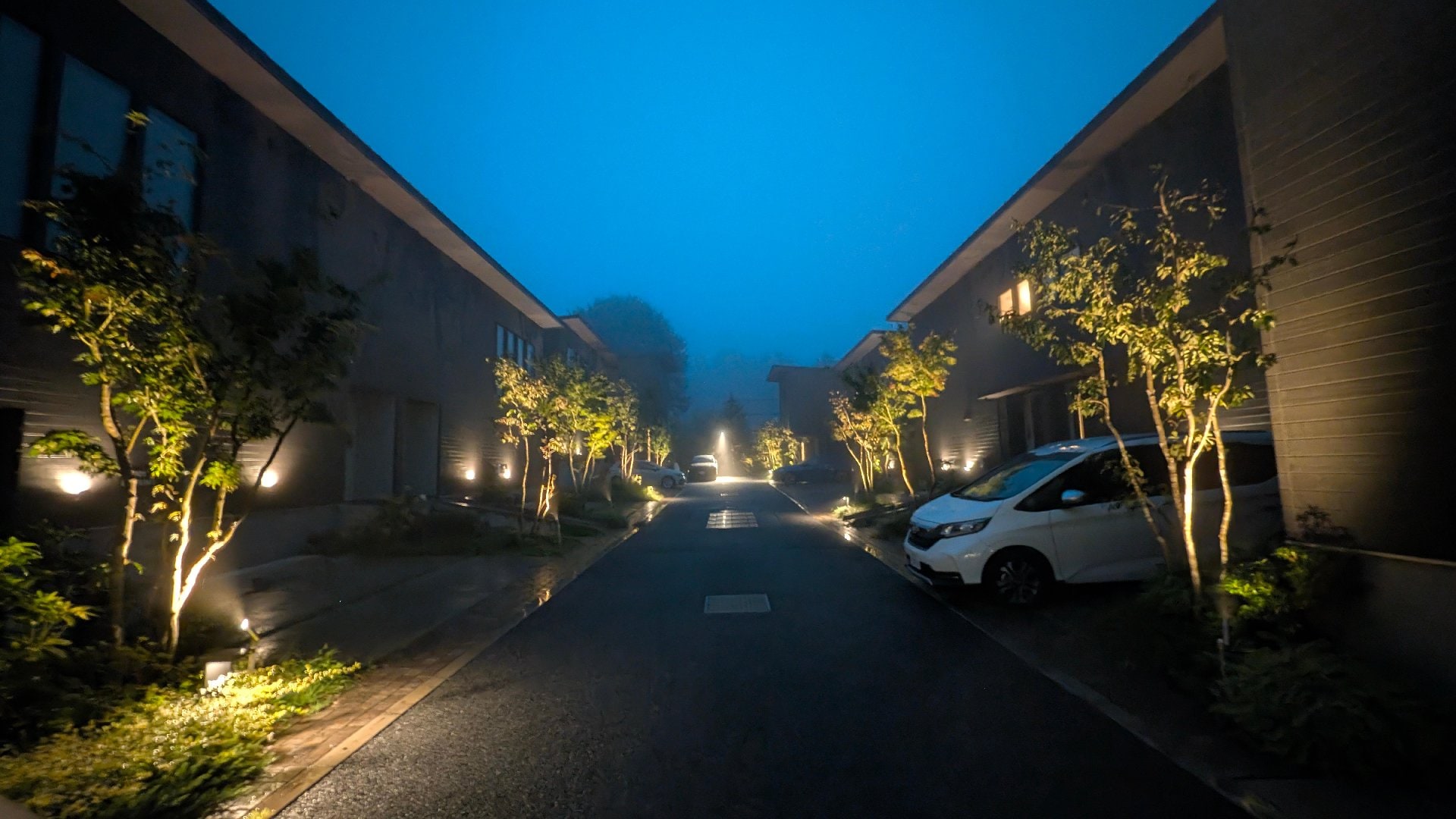 2504.jpg