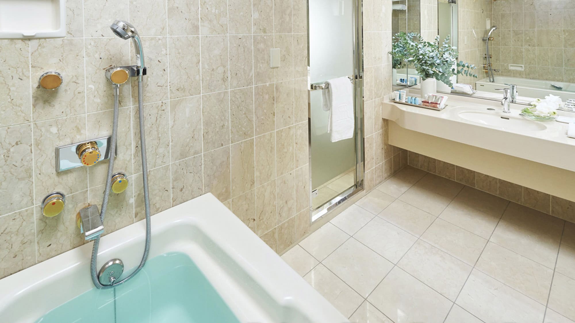 [Deluxe Twin / Bathroom]