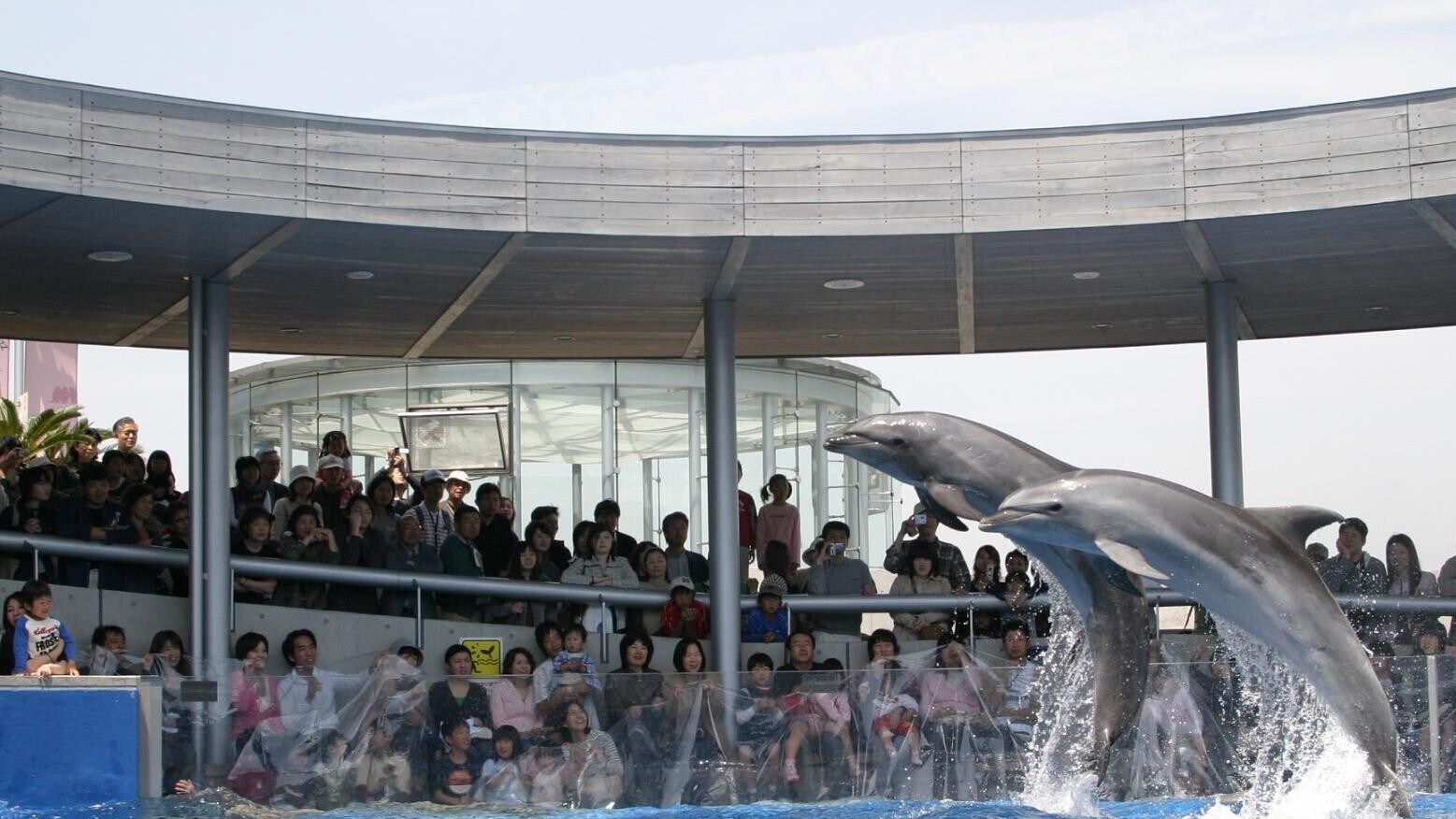 大分海洋宫水族馆“海蛋”秀