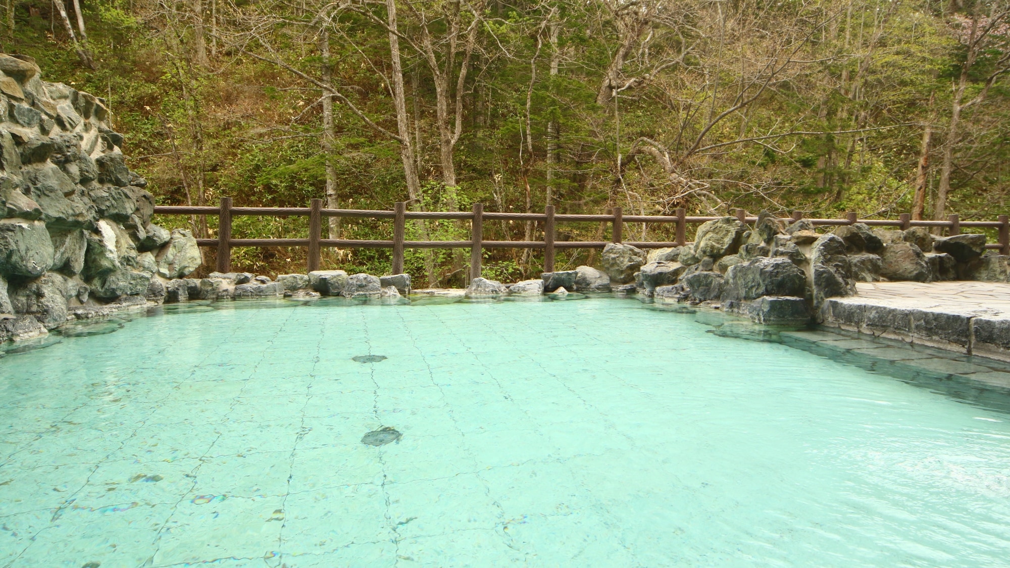 A "hidden hot spring" surrounded by an untouched primeval forest
