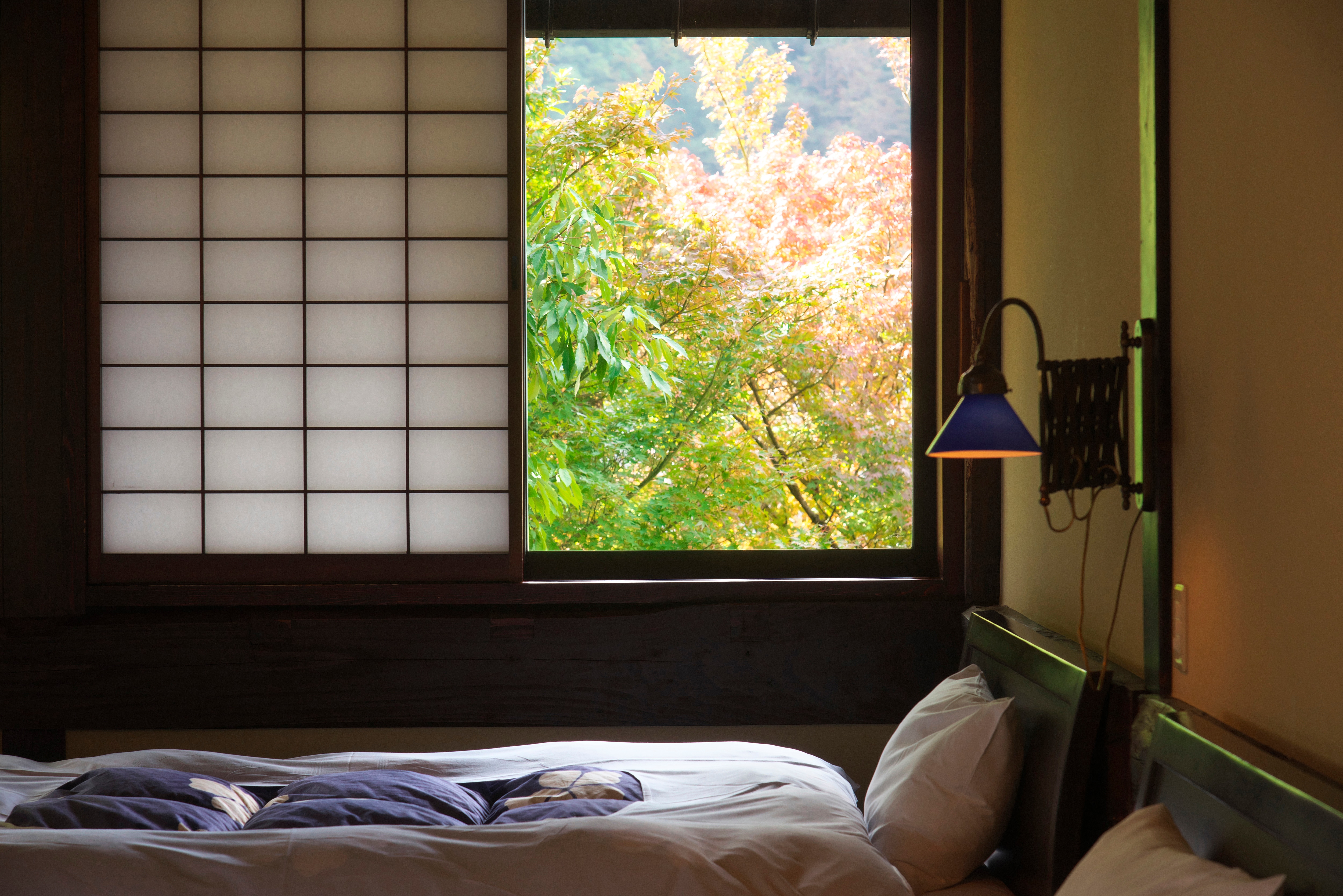 Phòng Nhật Bản-Tây 16 tatami và lò sưởi