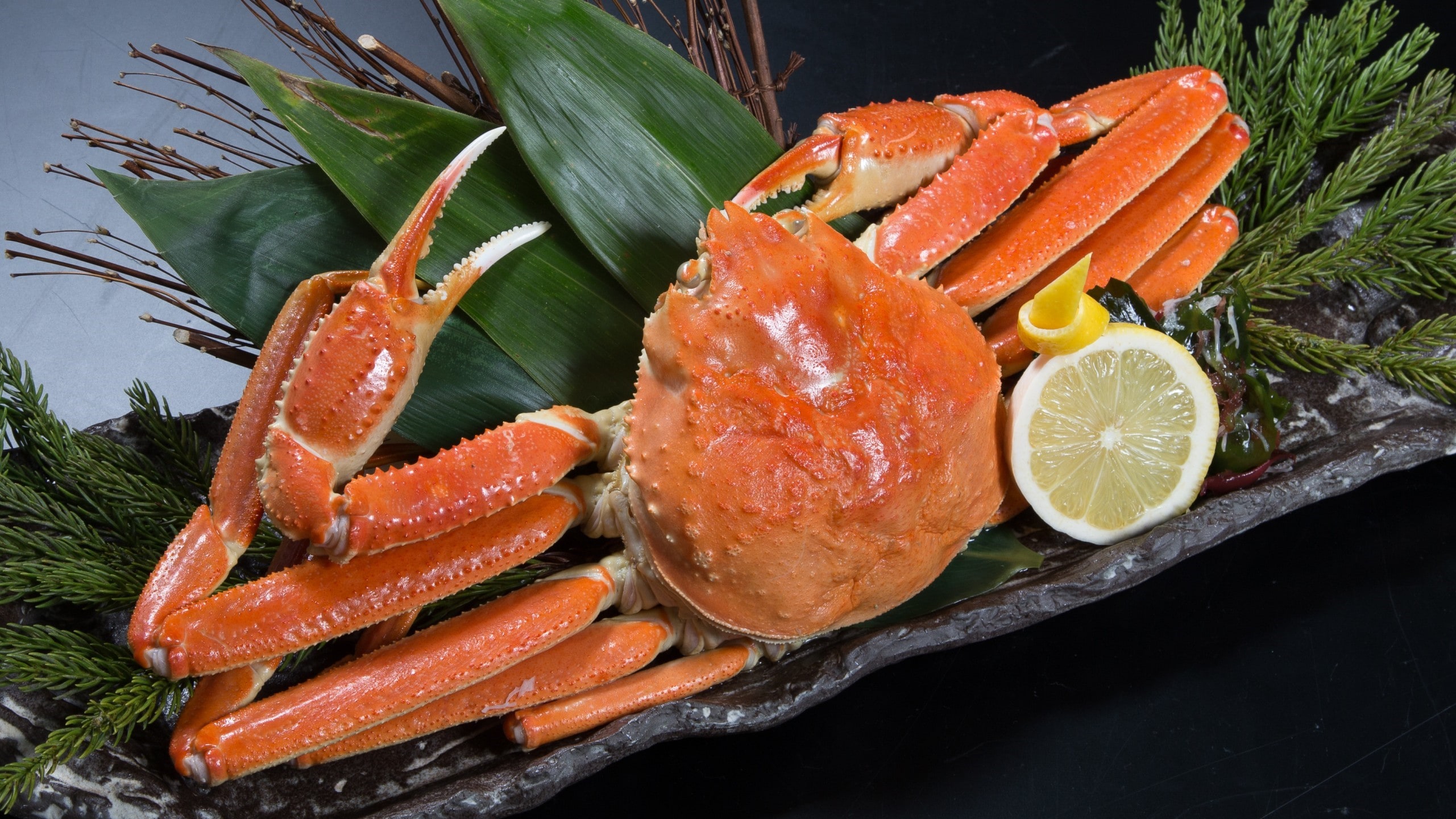 kepiting salju