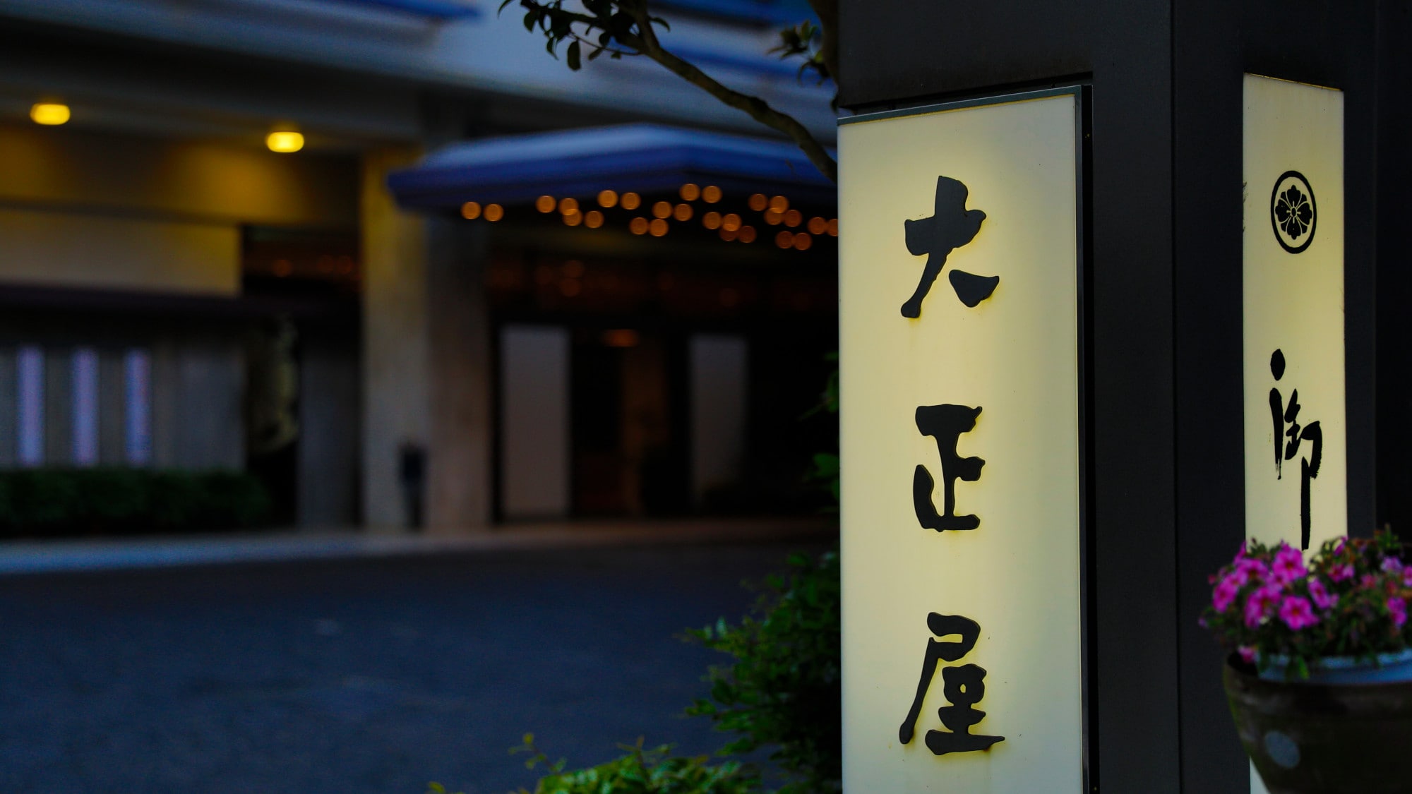 [Appearance] Image 02