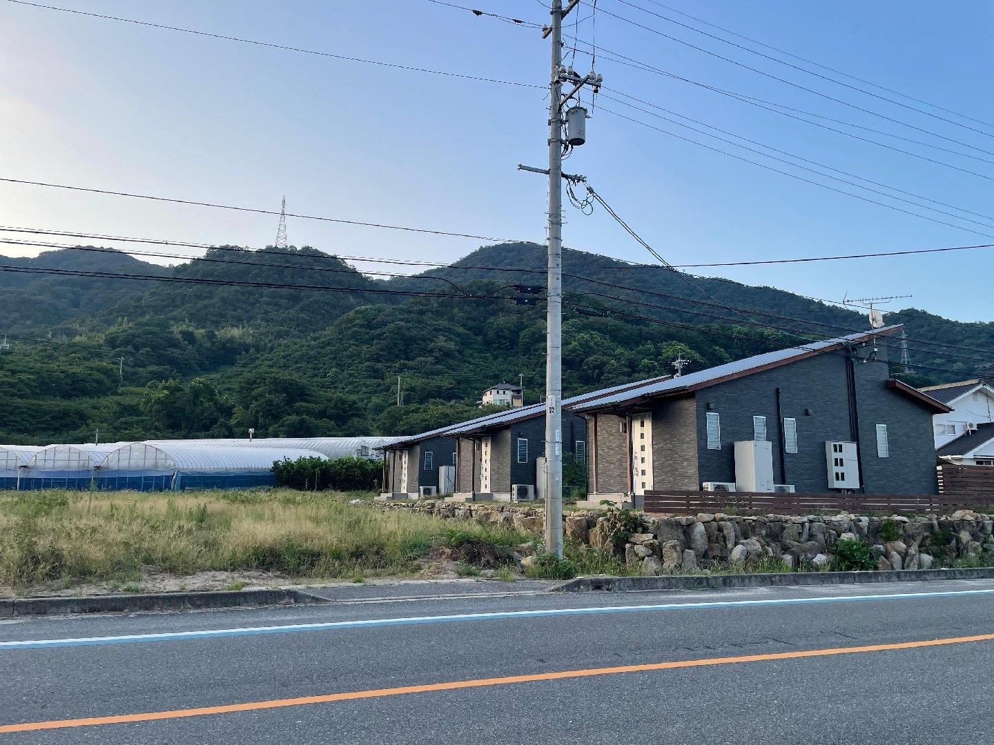 IMG_7035.jpeg