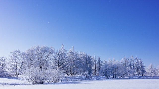 Winter Image