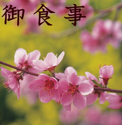 Your meal will be surrounded by seasonal natural scenery, such as cherry blossoms and fresh greenery in spring, deep greenery in summer, and autumn leaves in autumn.