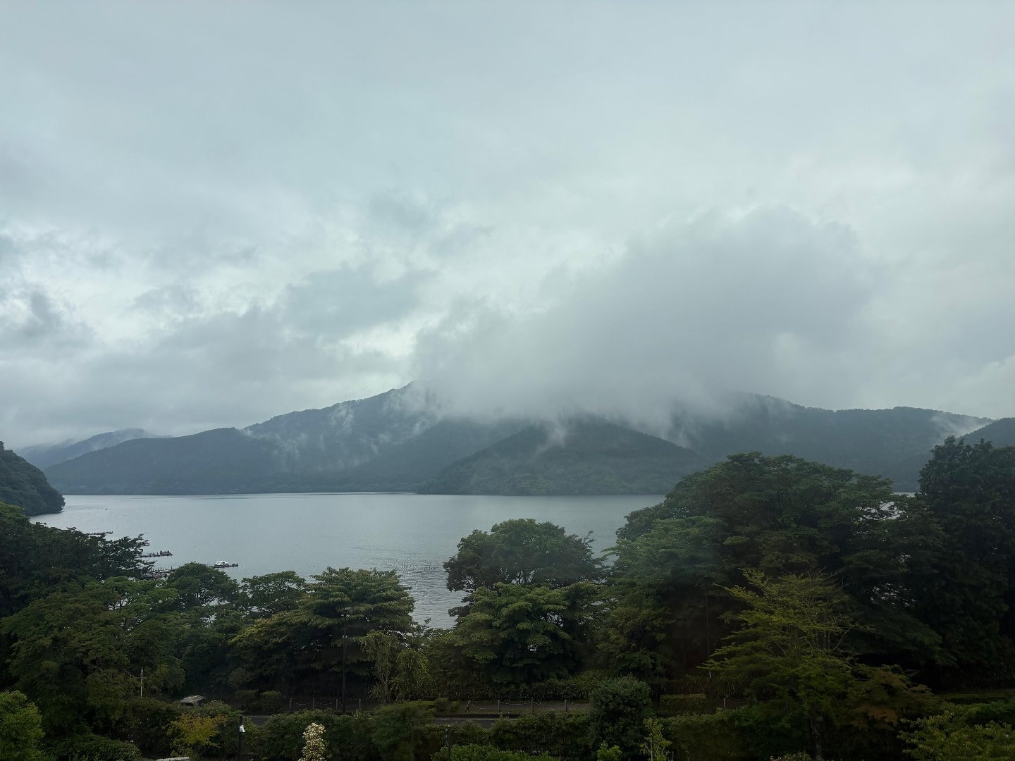 IMG_9505.jpeg