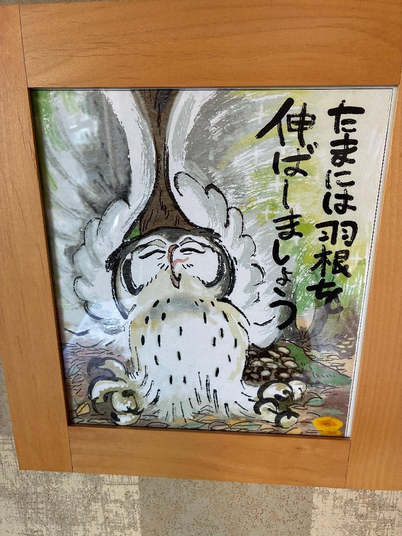 27FE56CA-4C1C-4D4F-82F8-FD5317CE6B4F.jpeg