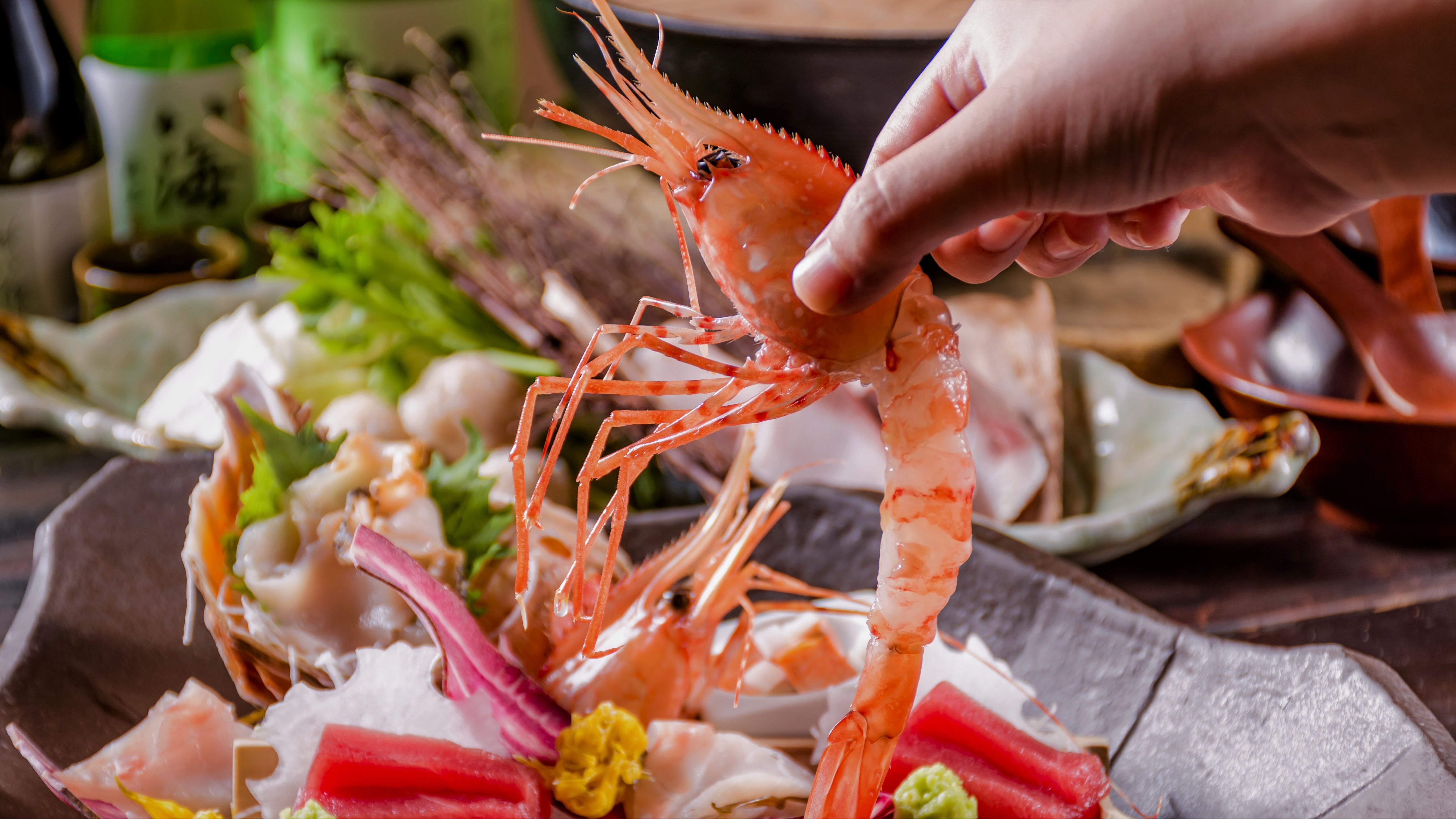 Oversized botan shrimp with plenty of sweetness