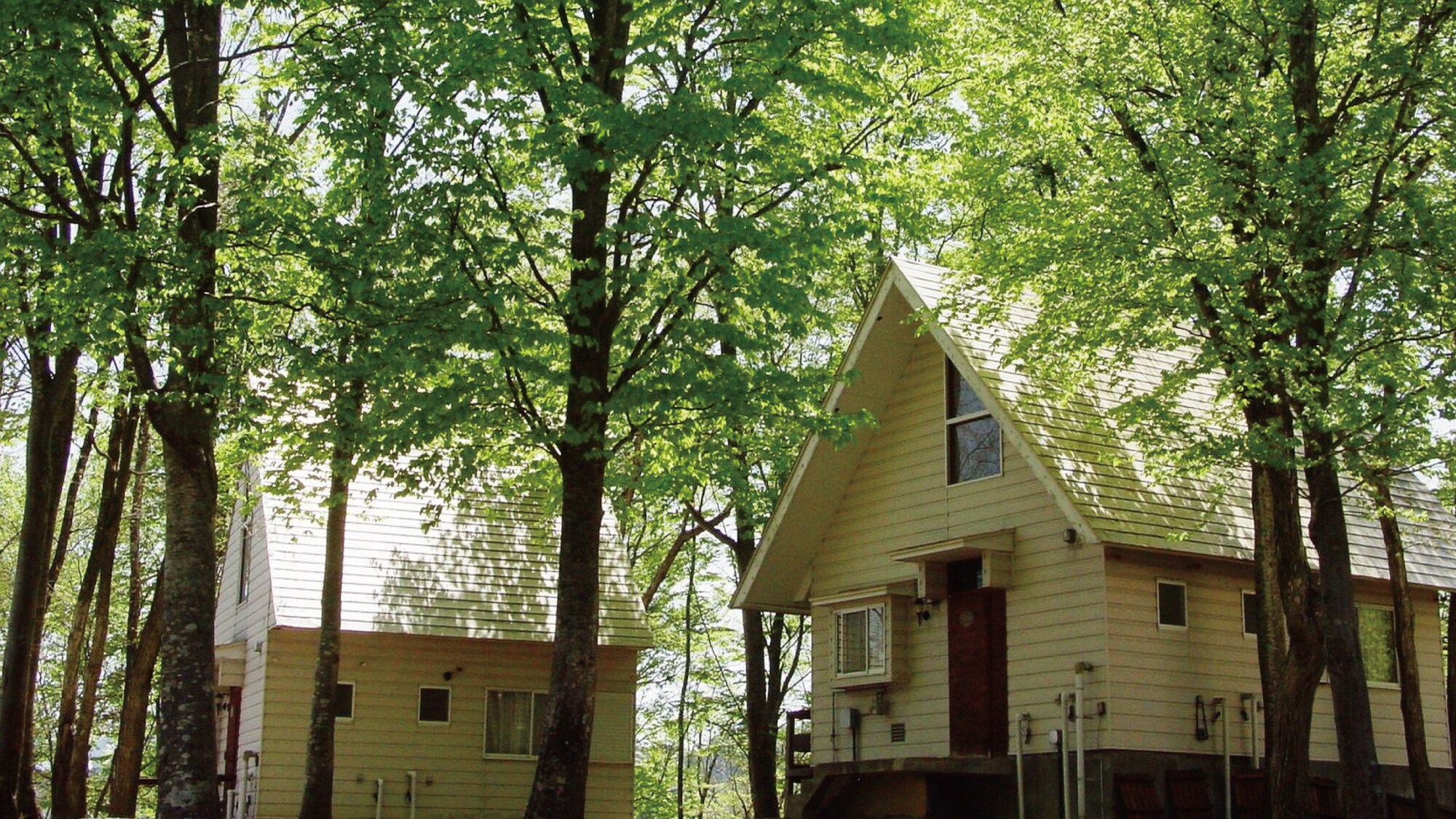 Green season cottage