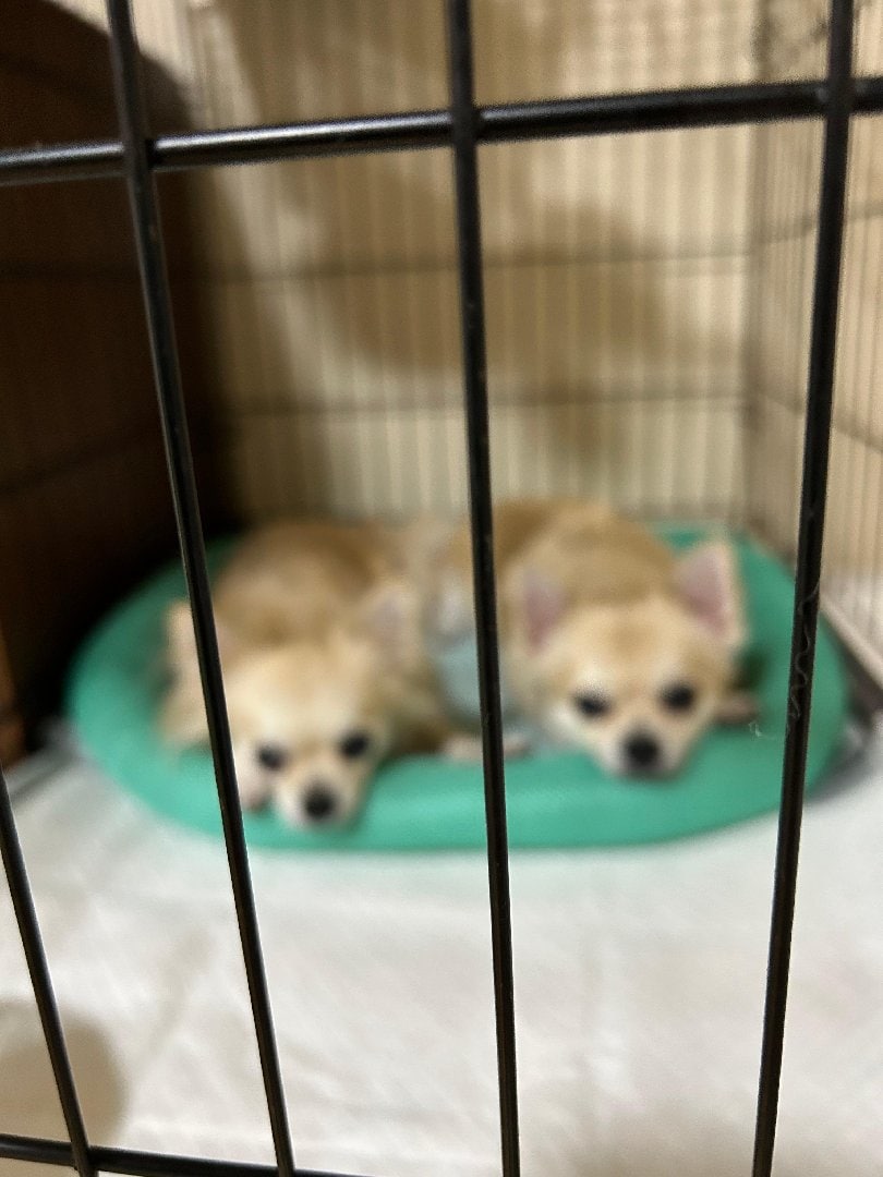 IMG_5016.jpeg