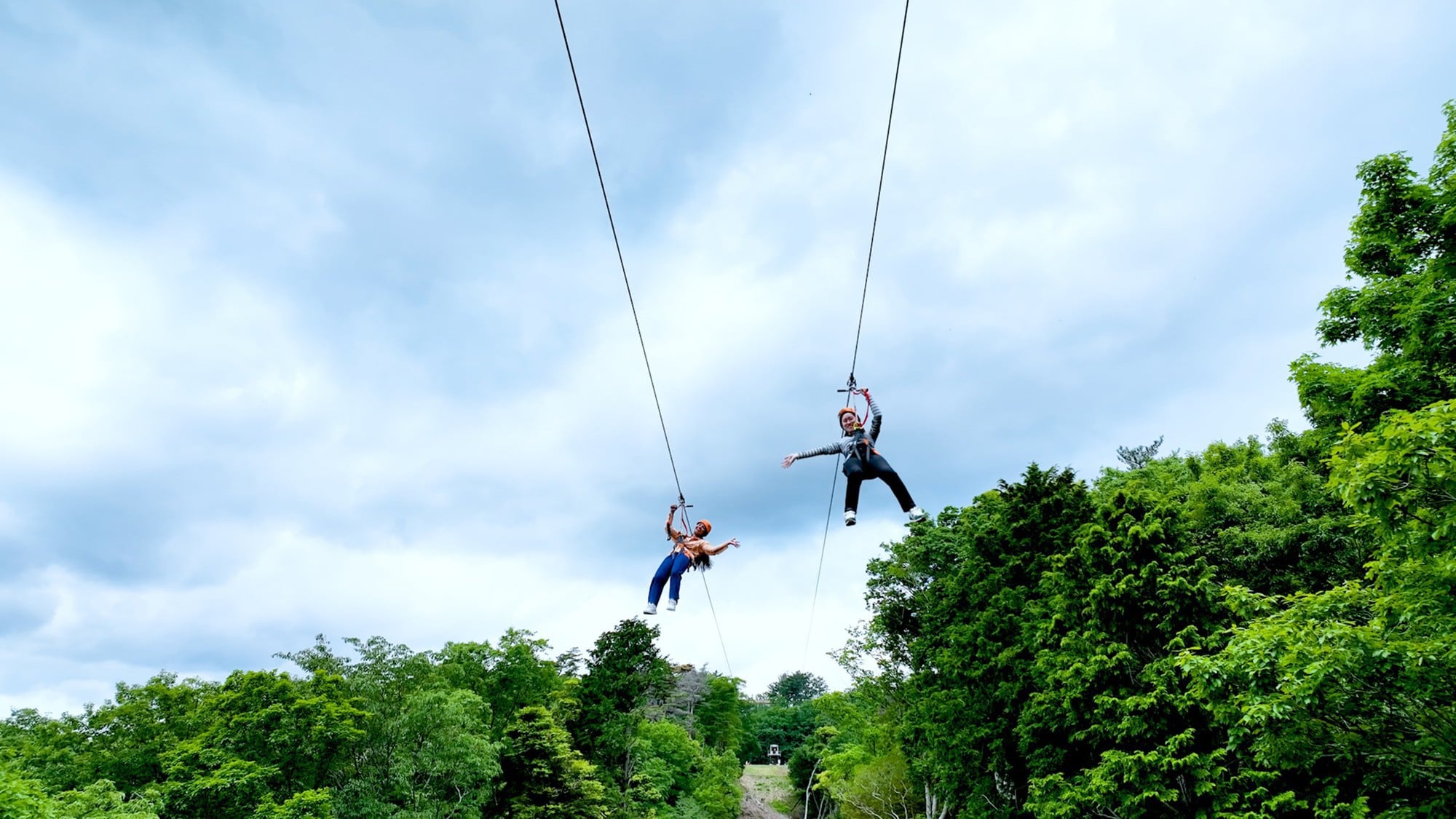 Zipline_ZIPShuzenZIP