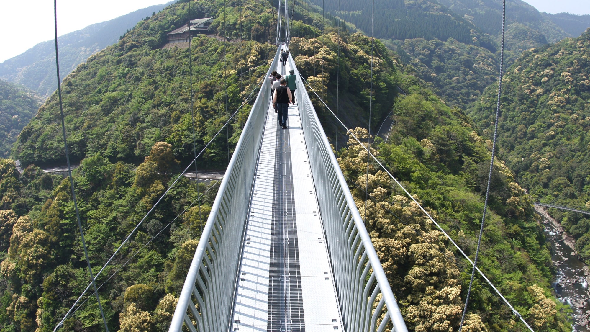 [Teruha Large Suspension Bridge] This is a large suspension bridge that boasts the height of & ldquo; Japan's largest & rdquo; built to protect the laurel forest.