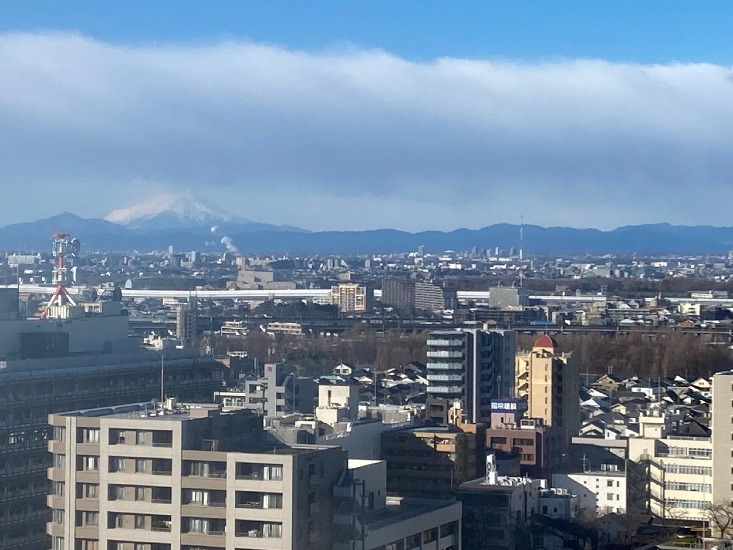 IMG_1773.jpeg