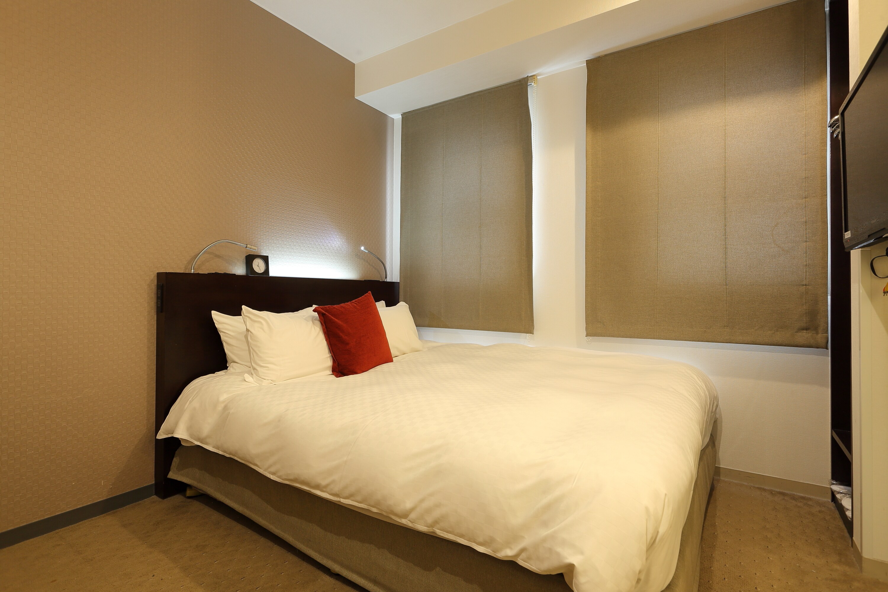 Standard Double Room (shower only)