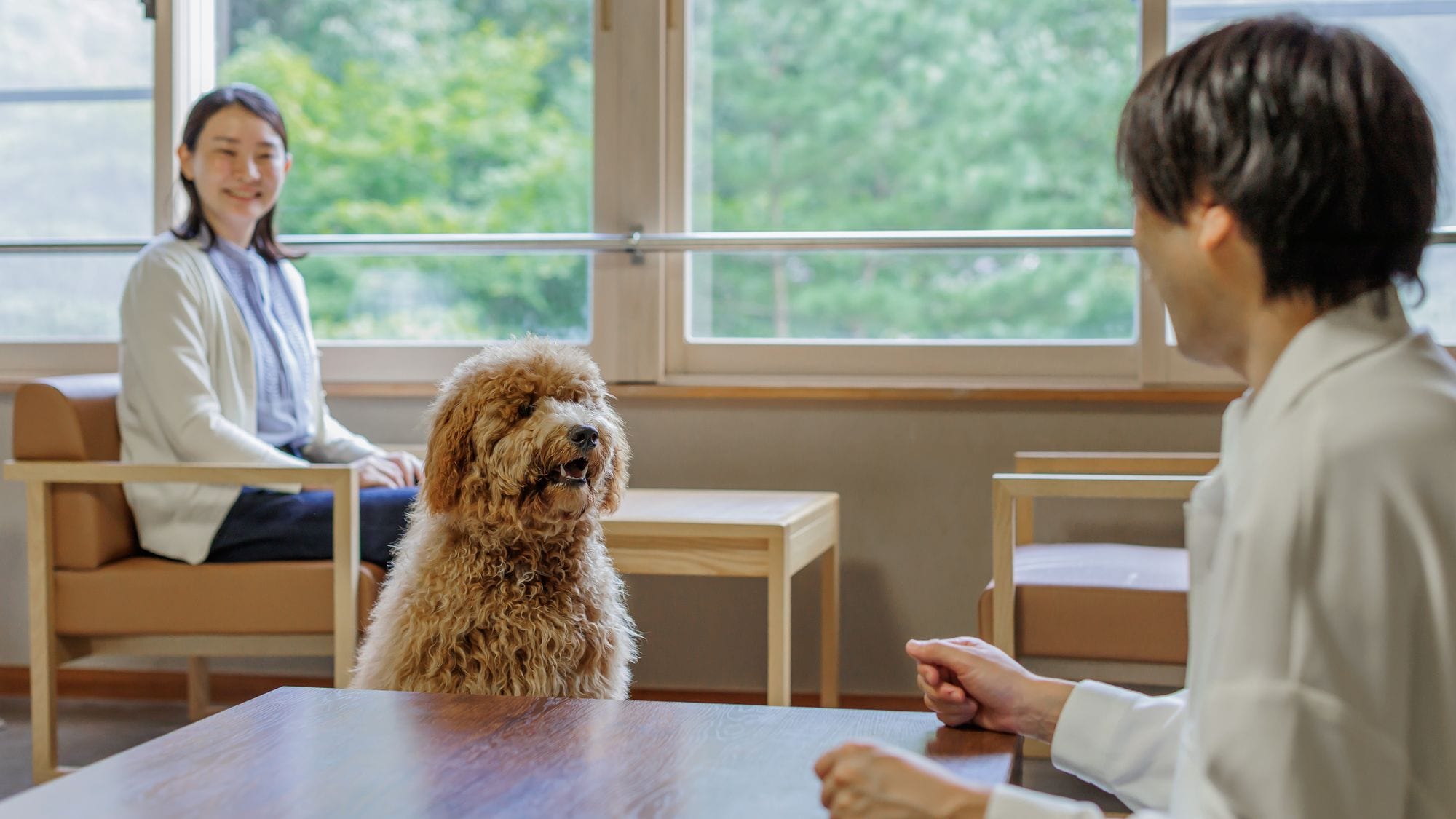 ภาพการใช้ห้องแบบญี่ปุ่น